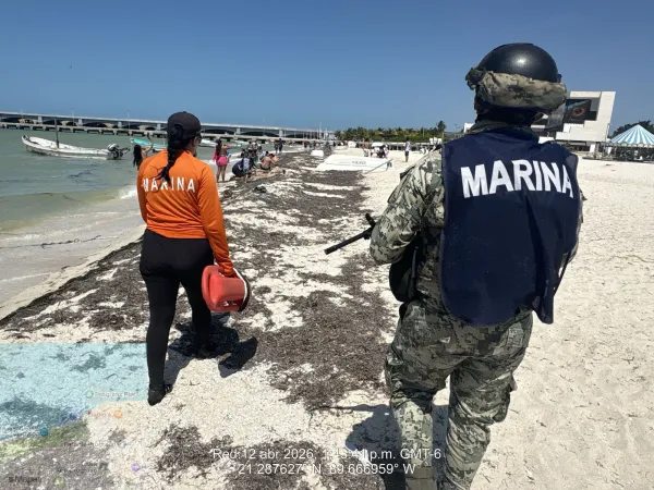 Imagen de la noticia