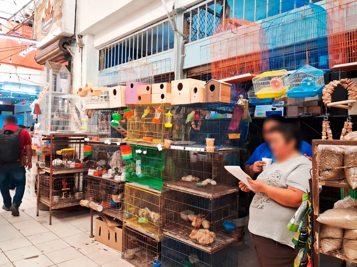 Refuerzan prevención de violencia en escuelas de Yucatán