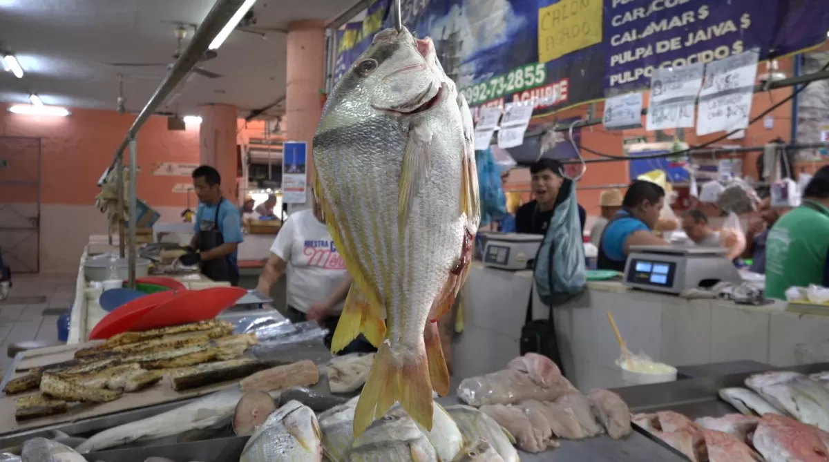 Comerciantes de pescados y mariscos esperan alza en sus ventas
